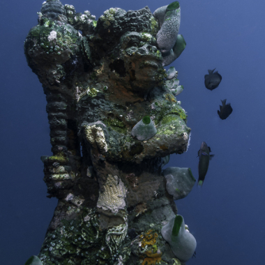 buceo-bali-amed