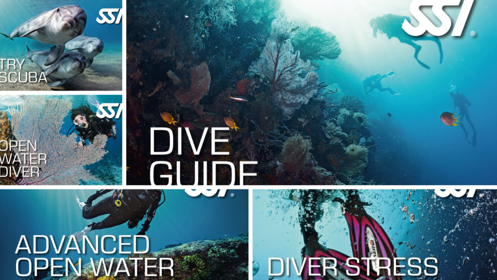 cursos de buceo en Bali en español