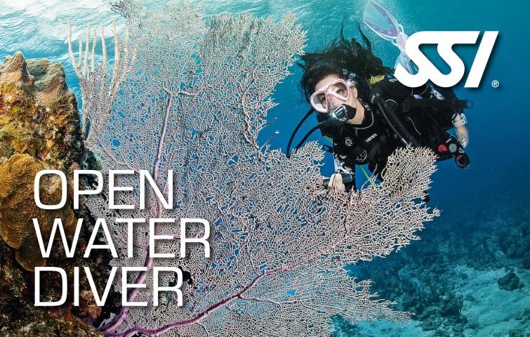 Open Water Diver en Bali