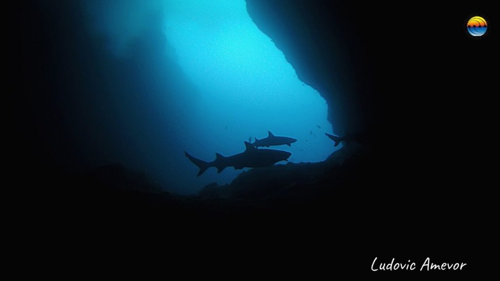 cueva-de-tiburones-gili-biaha
