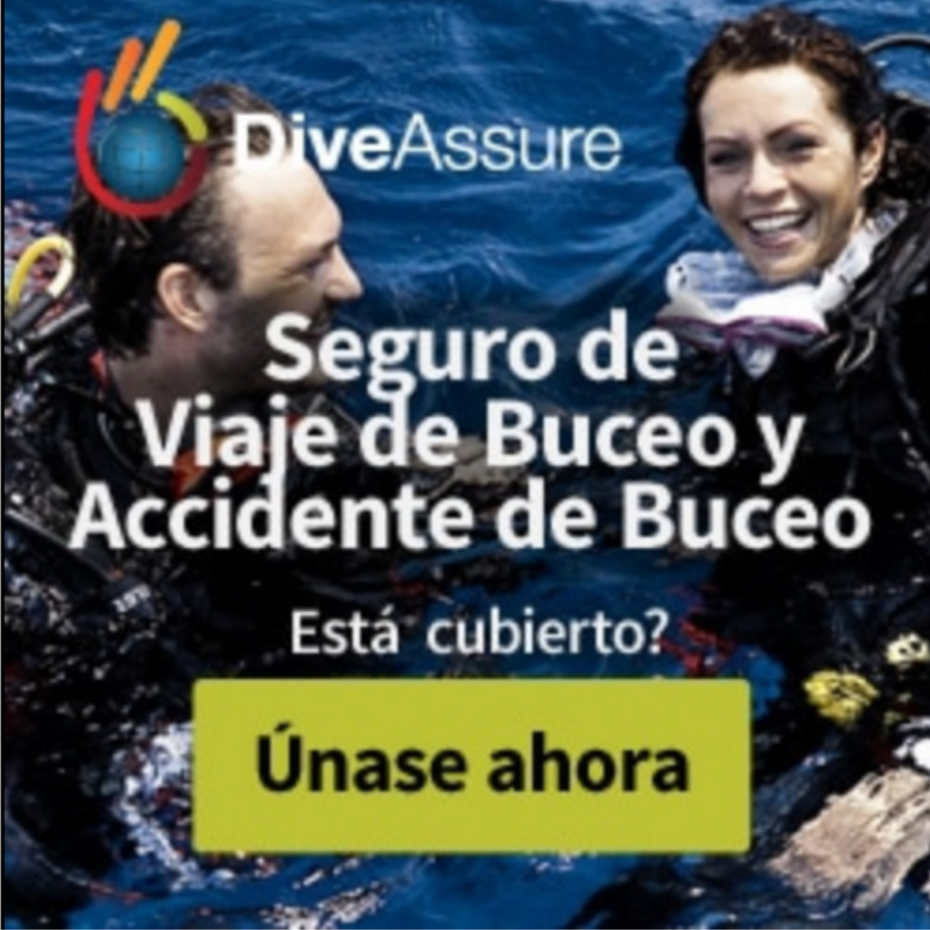 Dive-Assure